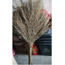 箭竹扫把